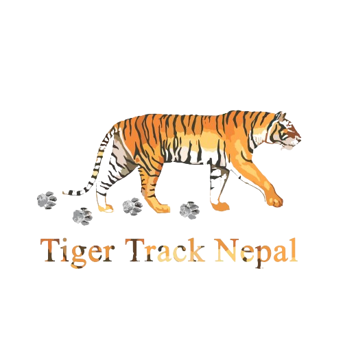 Tiger Track Nepal