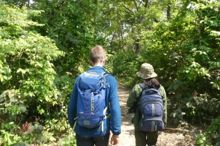 More Than Tigers: Discovering the Rich Biodiversity of Bardiya