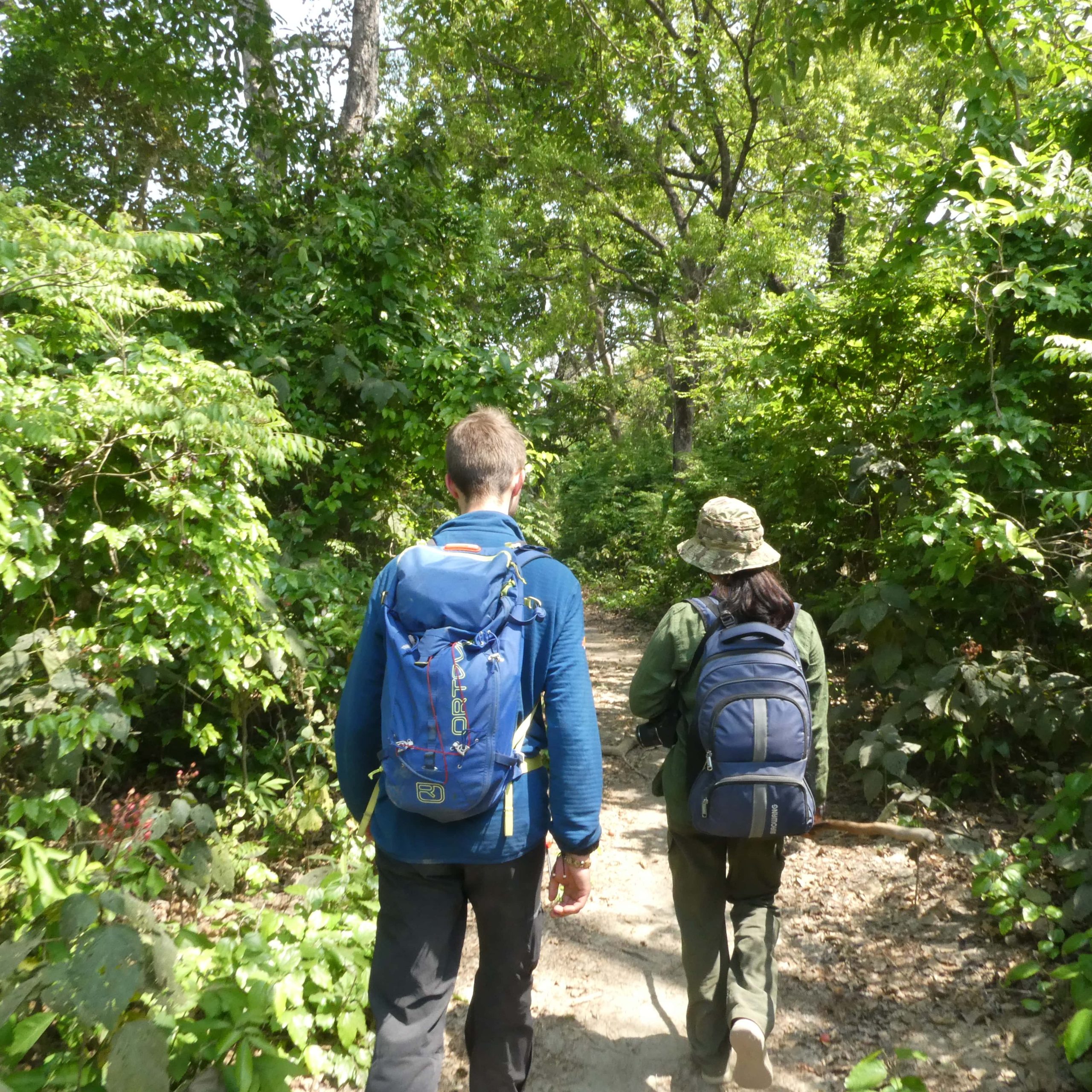 Bardiya National Park